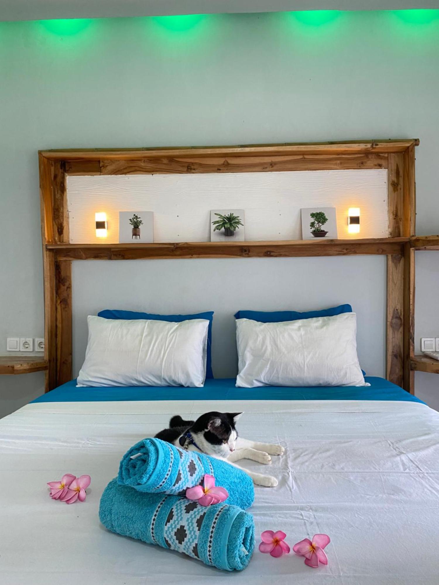 Hotel Marta House Gili Air Extérieur photo