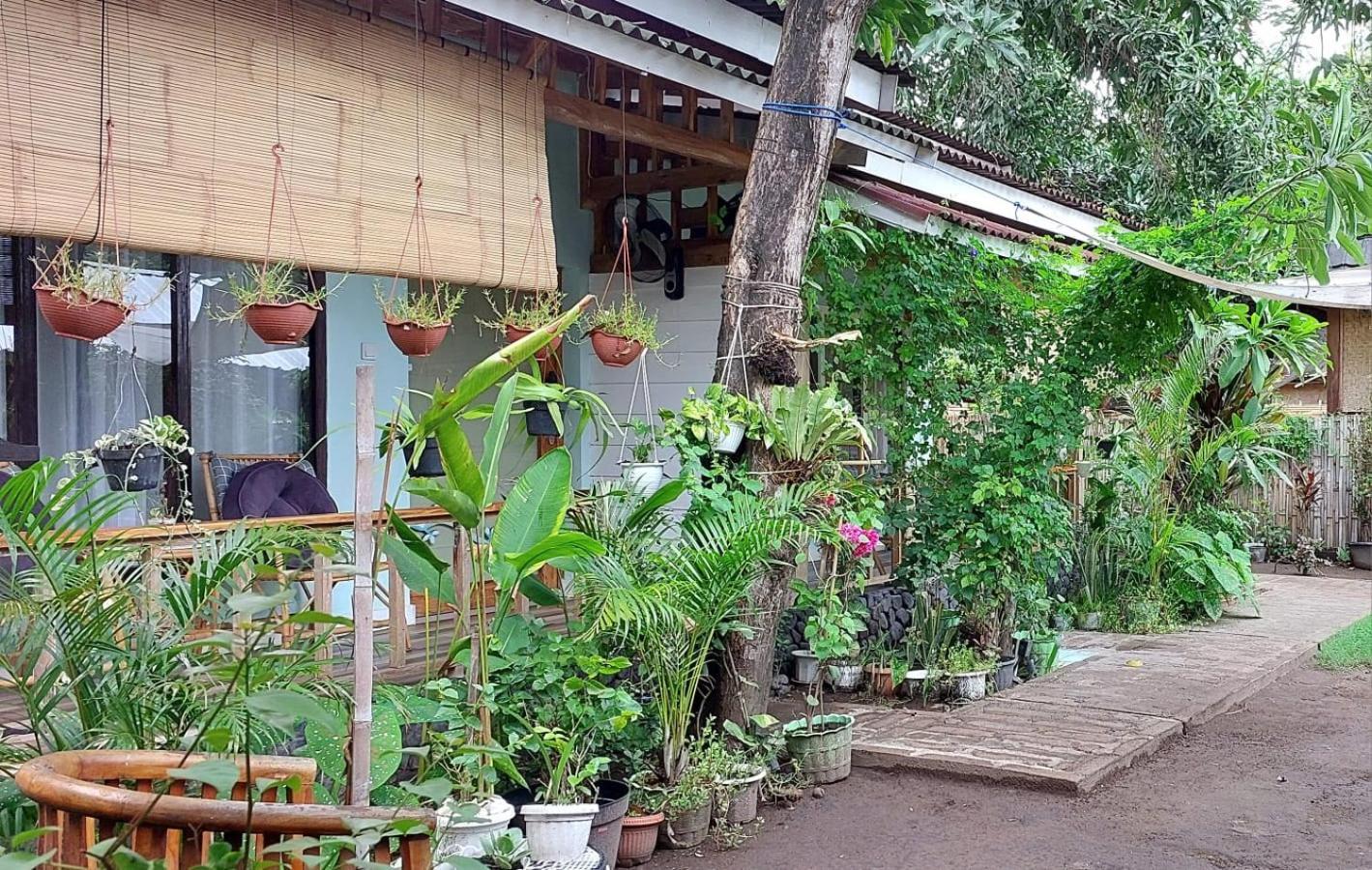 Hotel Marta House Gili Air Extérieur photo