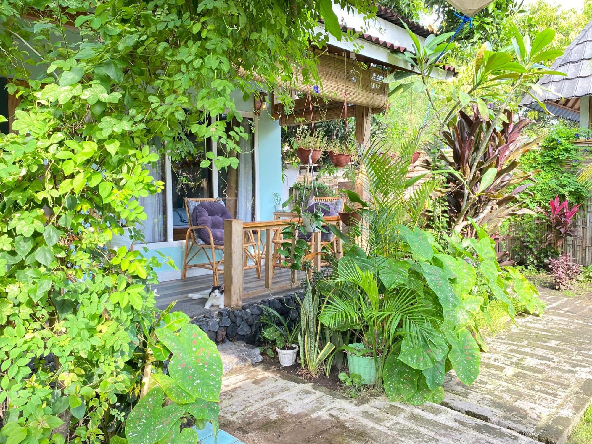 Hotel Marta House Gili Air Extérieur photo